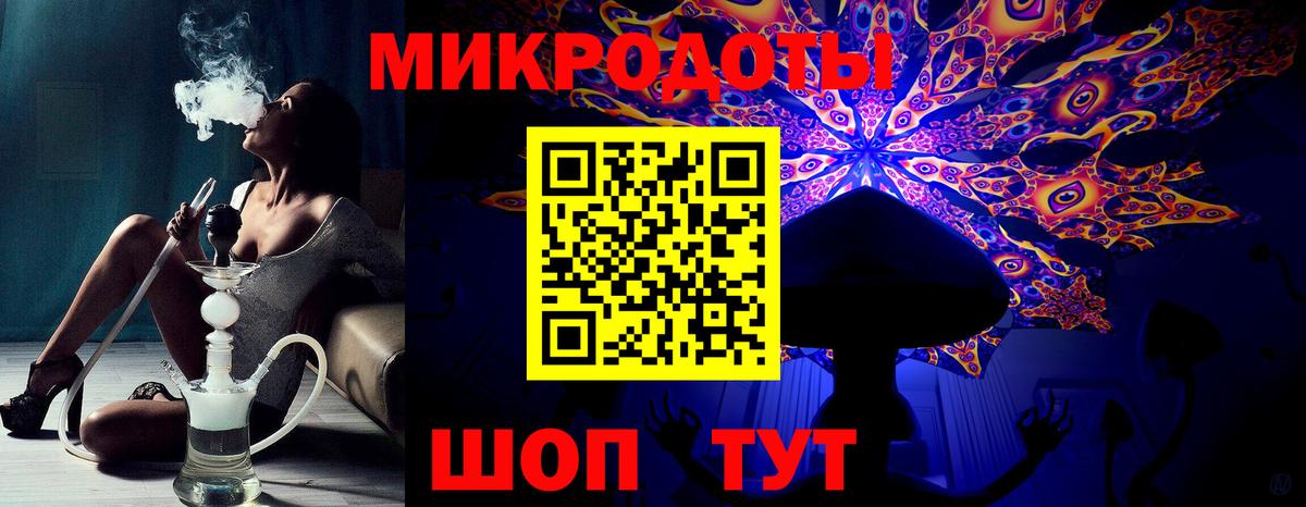 Новозыбков  наркота  Вход с VPN  Псилоцибиновые грибы Psilocybe  Галлюциногенные грибы мицелий 